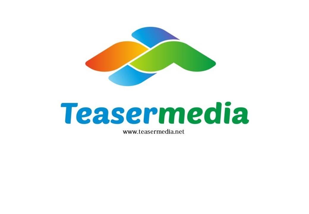 Teasermedia (teasermedia.net) — это тизерная рекламная сеть, работающая с 2011 года и ориентированная на сотрудничество